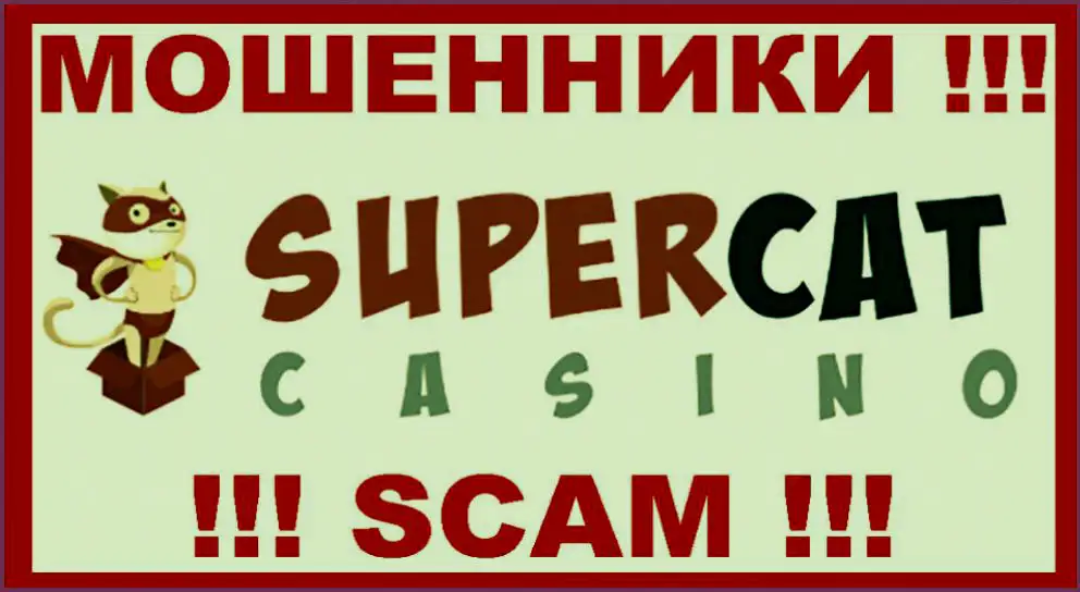 Supercat casino supercat casino space
