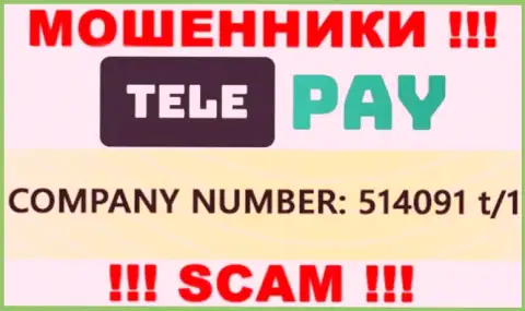 Номер регистрации TelePay, который представлен жуликами на их веб-сервисе: 514091 t/1
