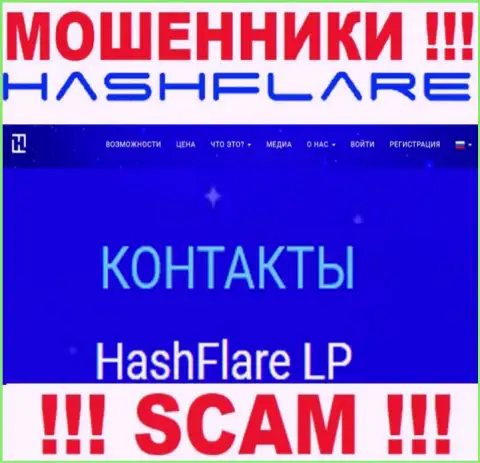 Информация о юридическом лице мошенников HashFlare Io