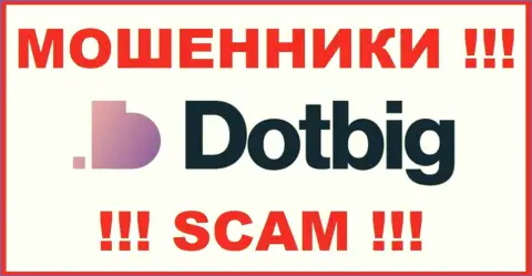 DotBig LTD - это МОШЕННИКИ !!! SCAM !!!