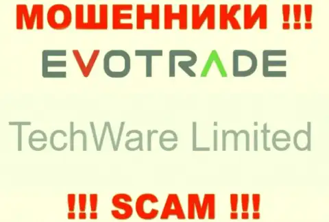 Юридическим лицом EvoTrade является - TechWare Limited