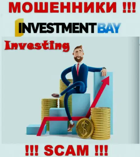 Не стоит верить, что сфера деятельности Investment Bay - Инвестиции легальна это лохотрон