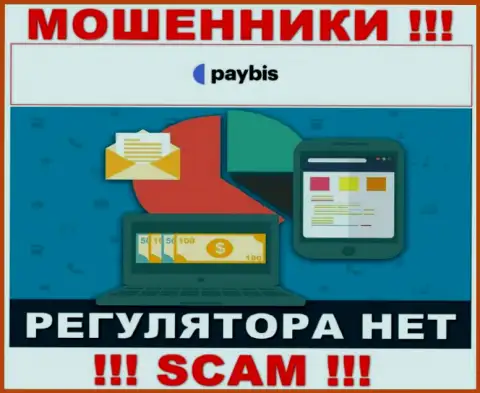 У PayBis на сайте не опубликовано сведений о регулирующем органе и лицензии компании, значит их вовсе нет