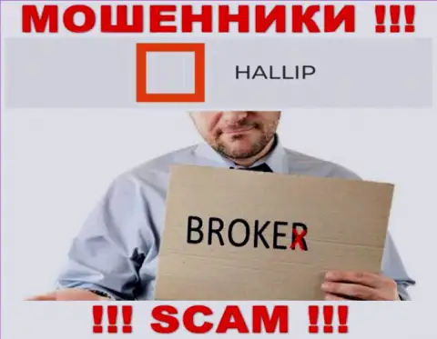 Сфера деятельности интернет-мошенников Халлип это Брокер, но помните это разводилово !!!