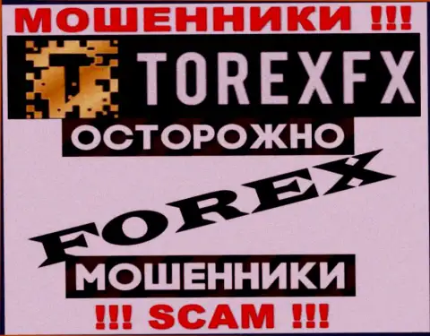 Вид деятельности TorexFX: Форекс - хороший заработок для мошенников