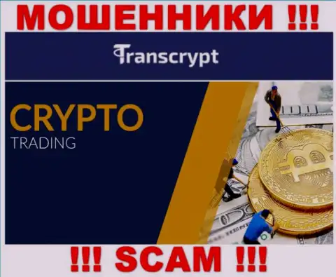 TransCrypt это интернет мошенники ! Направление деятельности которых - Crypto trading