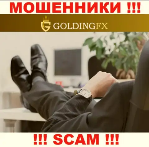 Ни имен, ни фото тех, кто руководит организацией GoldingFX в глобальной сети internet не найти