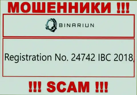 Номер регистрации организации Binariun Net, которую лучше обойти десятой дорогой: 24742 IBC 2018