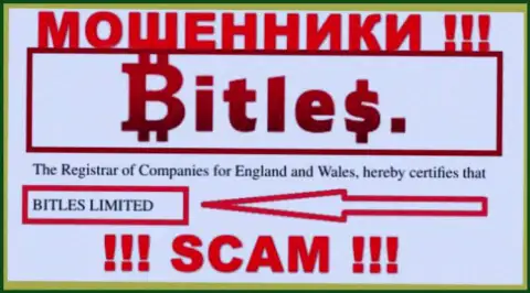 Владельцами Битлес является компания - Bitles Limited
