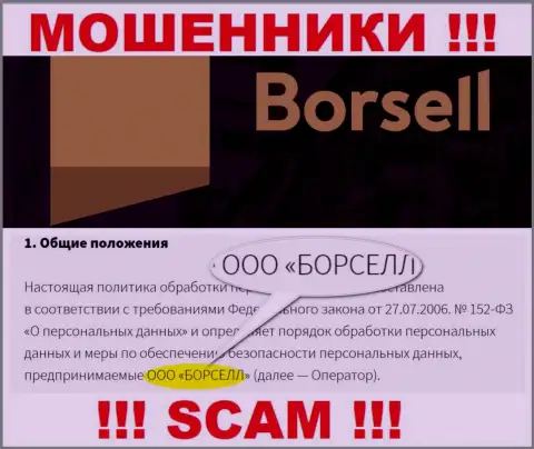 Воры Borsell Ru принадлежат юридическому лицу - ООО БОРСЕЛЛ