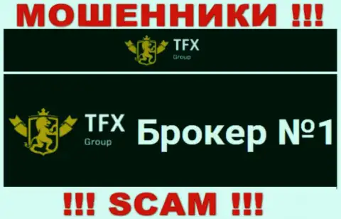 Не доверяйте денежные средства TFX FINANCE GROUP LTD, т.к. их сфера деятельности, ФОРЕКС, обман