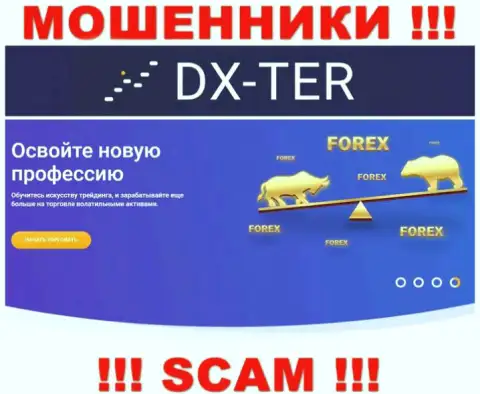 С DX Ter иметь дело очень рискованно, их тип деятельности Forex - это ловушка