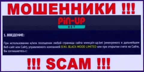 Юридическое лицо организации Pin-Up Bet - это B.W.I. BLACK-WOOD LIMITED, информация позаимствована с официального веб-сервиса