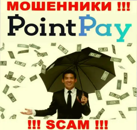 Не попадитесь в руки интернет обманщиков Point Pay LLC, вклады не заберете