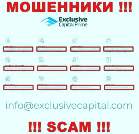На адрес электронного ящика, расположенный на web-портале мошенников Exclusive Capital, писать письма не советуем - это ЖУЛИКИ !!!