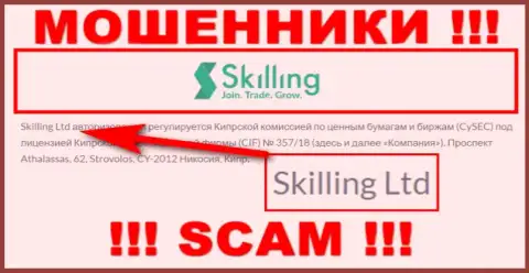 Компания Скиллинг находится под крылом организации Skilling Ltd