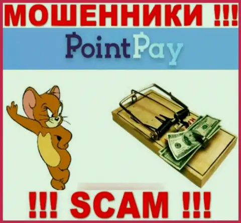 Point Pay - это ШУЛЕРА, не верьте им, если вдруг будут предлагать разогнать депозит