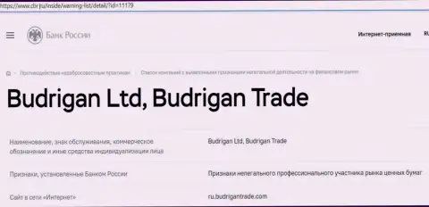 Мошенники Budrigan Ltd загремели в черный список Центробанка России