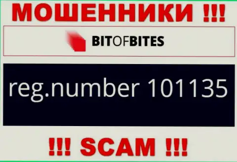 Номер регистрации организации Bit Of Bites, который они указали у себя на интернет-портале: 101135