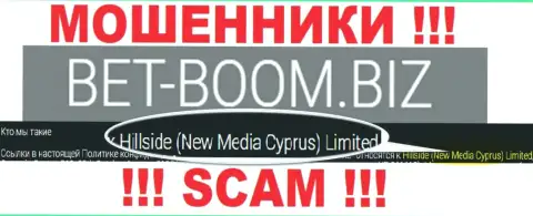 Юридическим лицом, управляющим аферистами Bet-Boom Biz, является Хиллсиде (Нью Медиа Кипр) Лтд