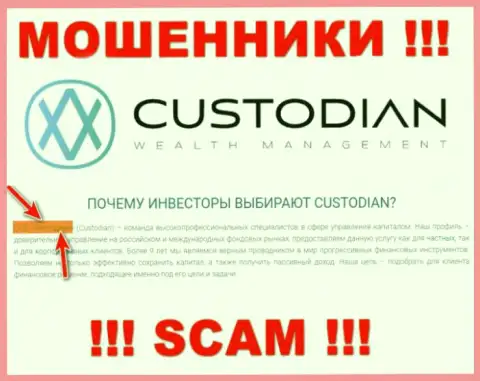 Юридическим лицом, владеющим интернет мошенниками Кустодиан, является ООО Кастодиан