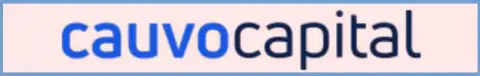 Логотип организации CauvoCapital