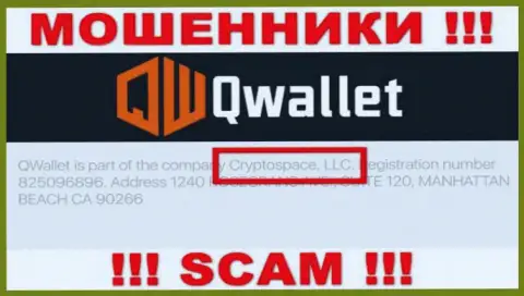 На официальном сайте Q Wallet сказано, что данной организацией владеет Cryptospace LLC