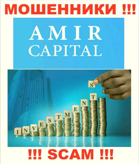 Не переводите денежные средства в АмирКапитал, направление деятельности которых - Инвестирование